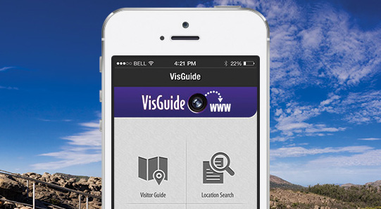 VisGuide